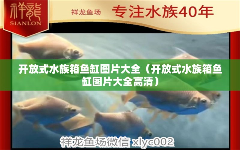 開放式水族箱魚缸圖片大全（開放式水族箱魚缸圖片大全高清） 赤焰中國(guó)虎魚 第1張