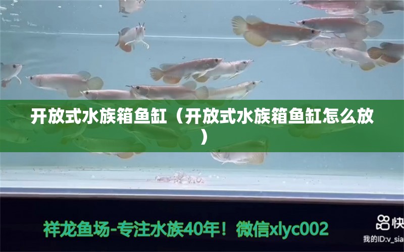 開放式水族箱魚缸（開放式水族箱魚缸怎么放） 魚缸/水族箱