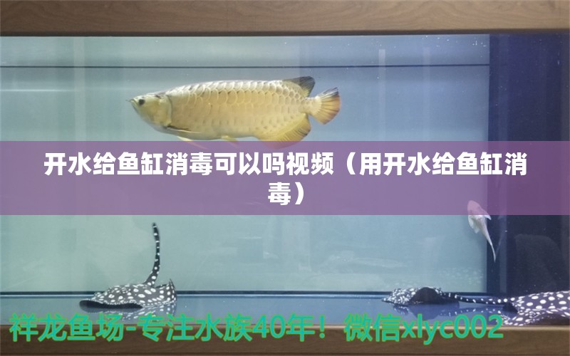 開(kāi)水給魚(yú)缸消毒可以嗎視頻（用開(kāi)水給魚(yú)缸消毒）