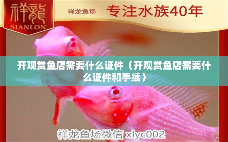 開觀賞魚店需要什么證件（開觀賞魚店需要什么證件和手續(xù)）