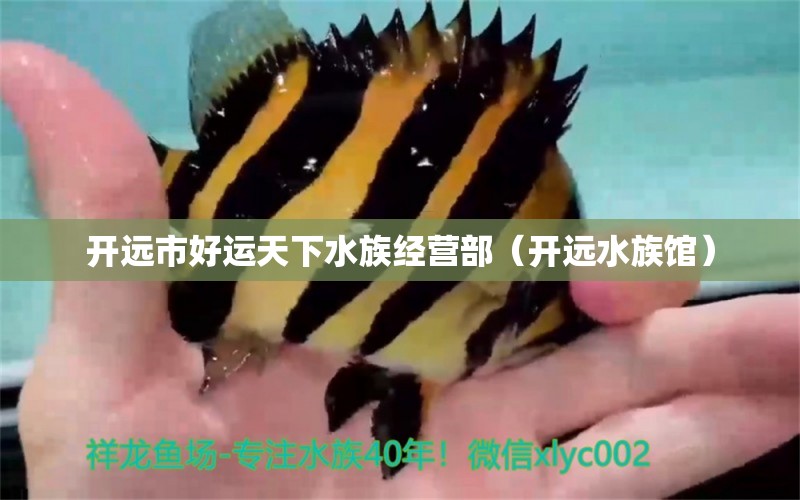 開遠市好運天下水族經(jīng)營部（開遠水族館） 全國水族館企業(yè)名錄