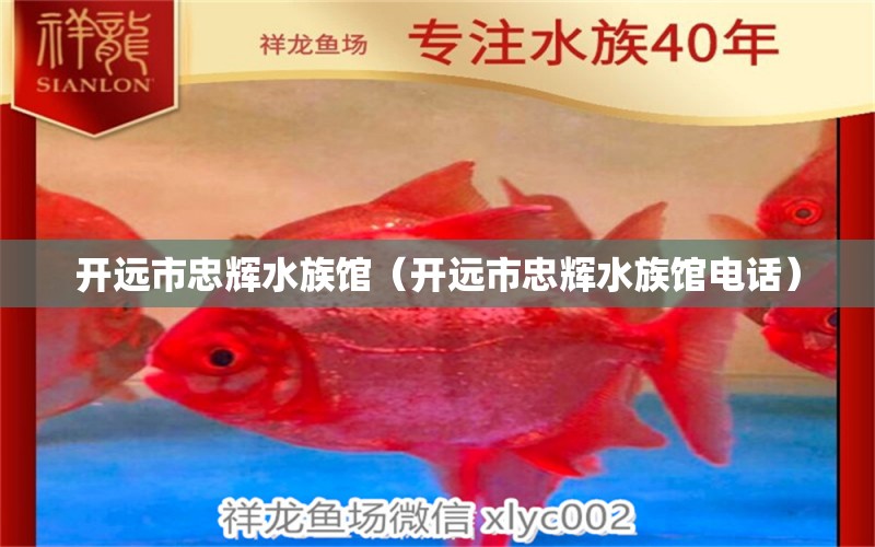 開遠(yuǎn)市忠輝水族館（開遠(yuǎn)市忠輝水族館電話） 全國水族館企業(yè)名錄