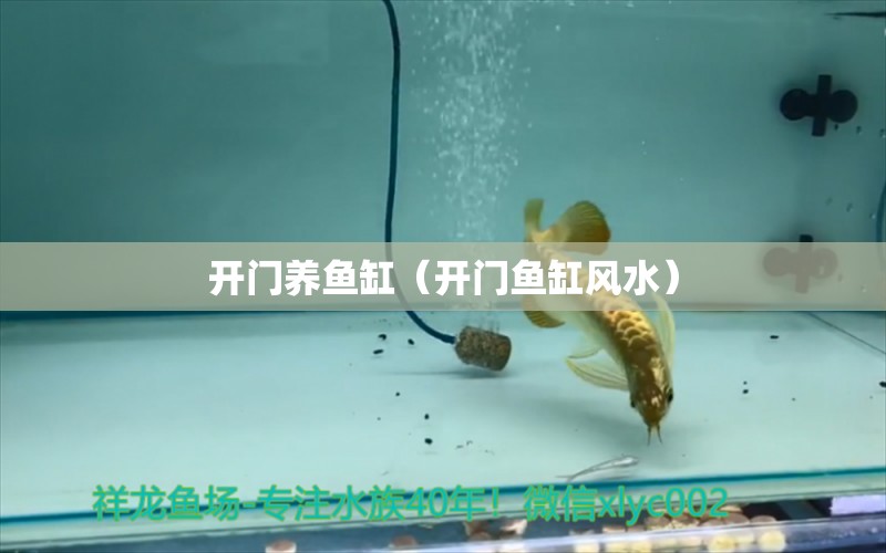 開門養(yǎng)魚缸（開門魚缸風(fēng)水） 魚缸風(fēng)水