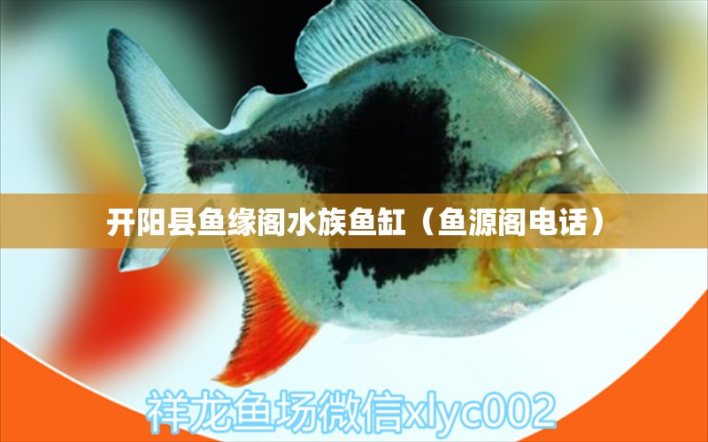 開陽縣魚緣閣水族魚缸（魚源閣電話）