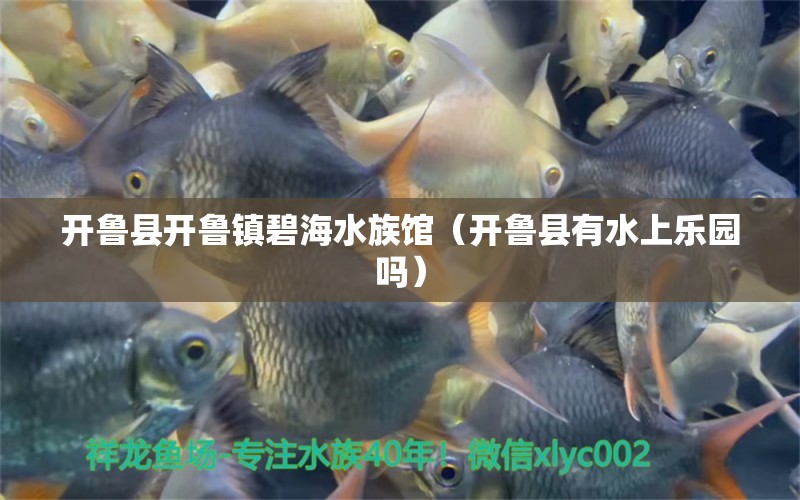 開(kāi)魯縣開(kāi)魯鎮(zhèn)碧海水族館（開(kāi)魯縣有水上樂(lè)園嗎）