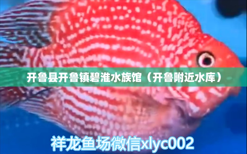 開魯縣開魯鎮(zhèn)碧淮水族館（開魯附近水庫(kù)）