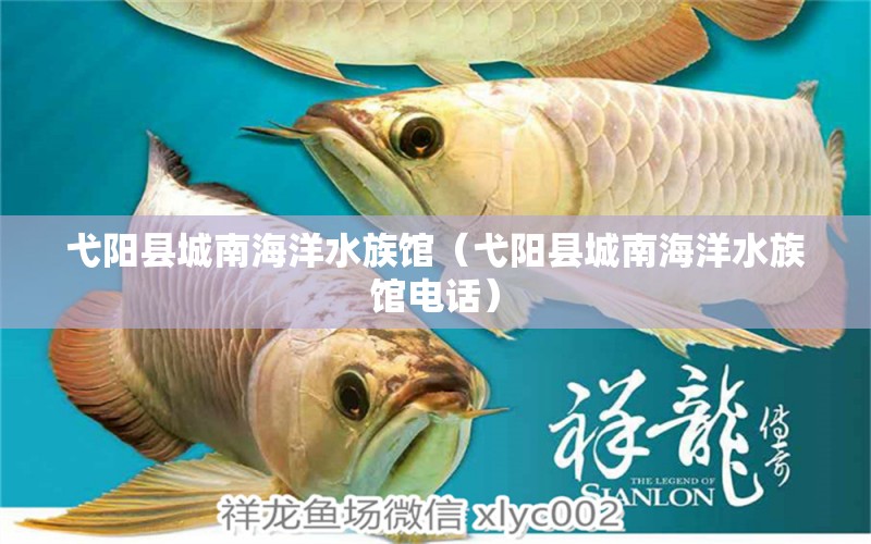 弋陽(yáng)縣城南海洋水族館（弋陽(yáng)縣城南海洋水族館電話） 全國(guó)水族館企業(yè)名錄