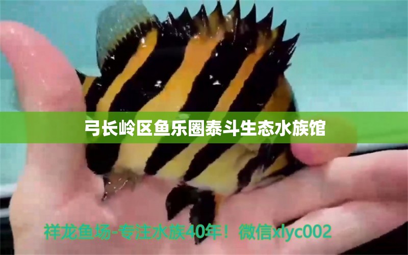 弓長嶺區(qū)魚樂圈泰斗生態(tài)水族館