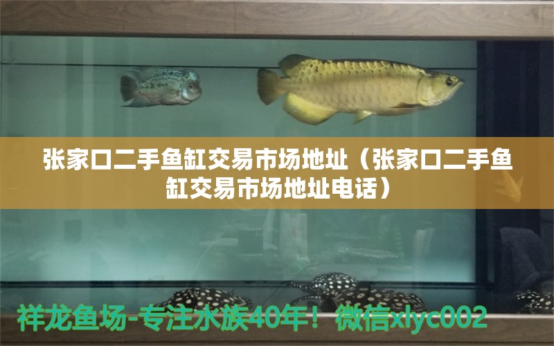 張家口二手魚(yú)缸交易市場(chǎng)地址（張家口二手魚(yú)缸交易市場(chǎng)地址電話）