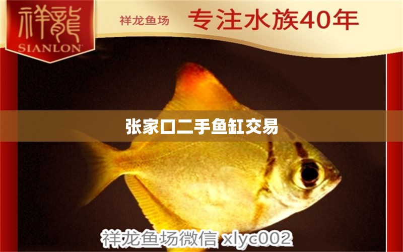 張家口二手魚缸交易 其他品牌魚缸