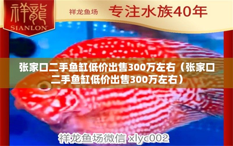 張家口二手魚缸低價(jià)出售300萬左右（張家口二手魚缸低價(jià)出售300萬左右） 一眉道人魚苗