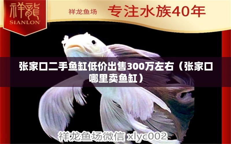 張家口二手魚缸低價(jià)出售300萬左右（張家口哪里賣魚缸）