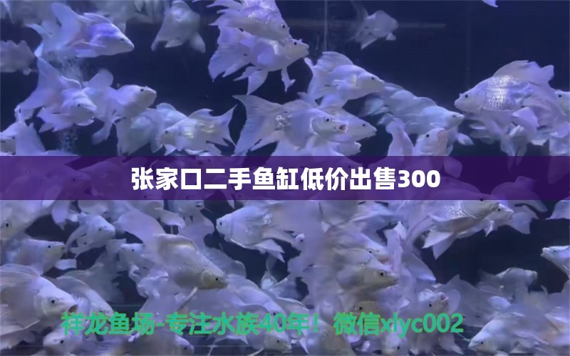 張家口二手魚(yú)缸低價(jià)出售300