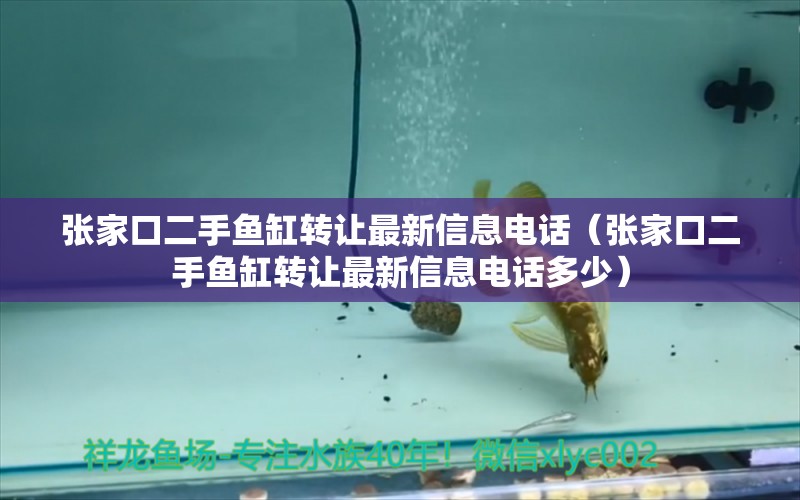 張家口二手魚缸轉(zhuǎn)讓最新信息電話（張家口二手魚缸轉(zhuǎn)讓最新信息電話多少） 水溫計(jì)