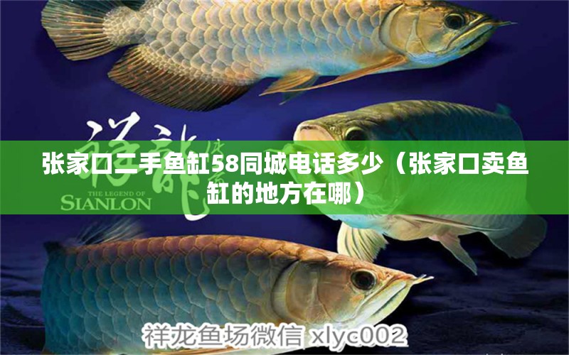 張家口二手魚缸58同城電話多少（張家口賣魚缸的地方在哪）