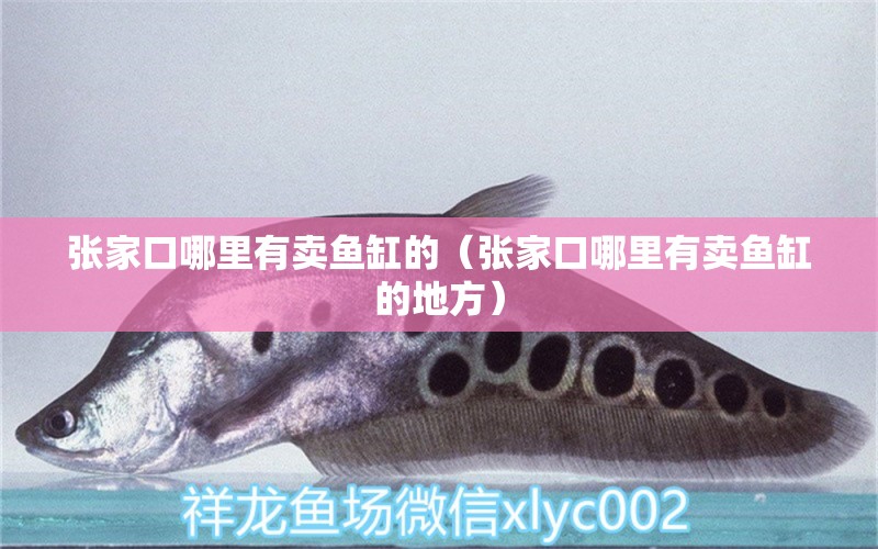 張家口哪里有賣魚缸的（張家口哪里有賣魚缸的地方） 其他品牌魚缸