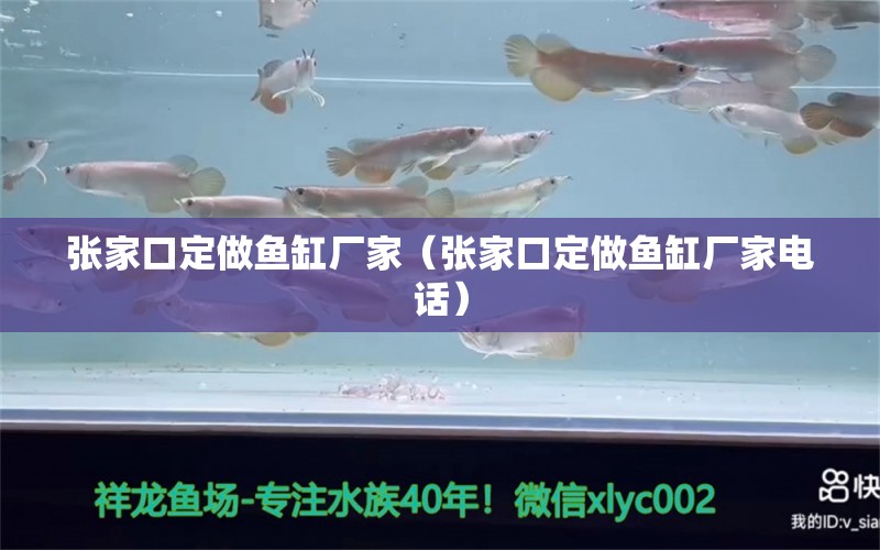 張家口定做魚缸廠家（張家口定做魚缸廠家電話）