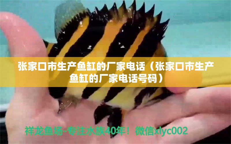 張家口市生產(chǎn)魚缸的廠家電話（張家口市生產(chǎn)魚缸的廠家電話號碼） 其他品牌魚缸