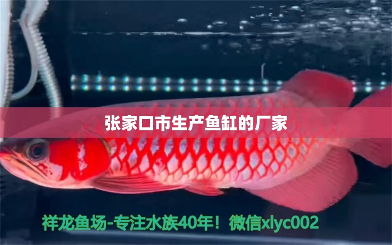 張家口市生產(chǎn)魚缸的廠家 其他品牌魚缸