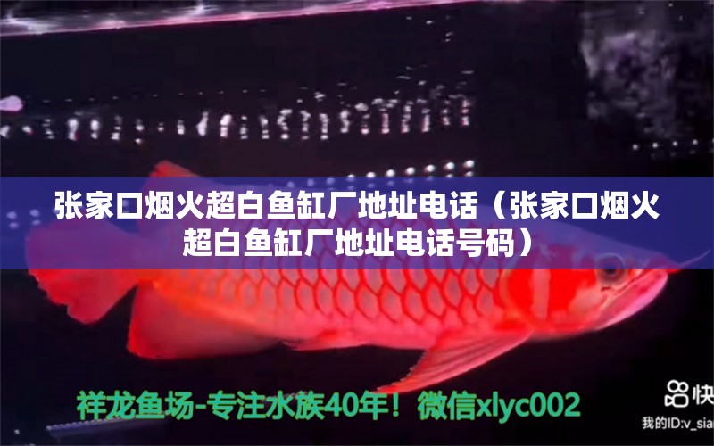 張家口煙火超白魚(yú)缸廠地址電話（張家口煙火超白魚(yú)缸廠地址電話號(hào)碼）