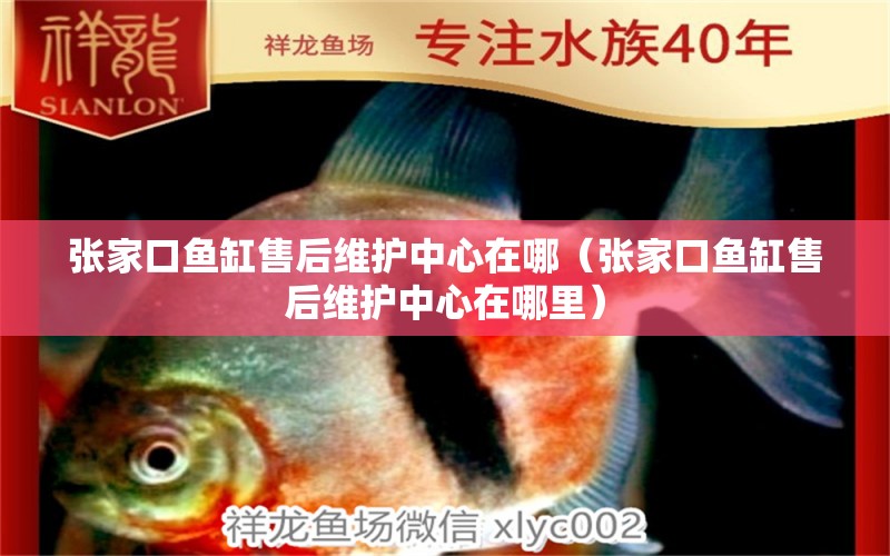 張家口魚缸售后維護中心在哪（張家口魚缸售后維護中心在哪里）