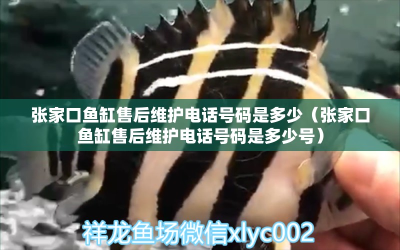 張家口魚缸售后維護電話號碼是多少（張家口魚缸售后維護電話號碼是多少號）