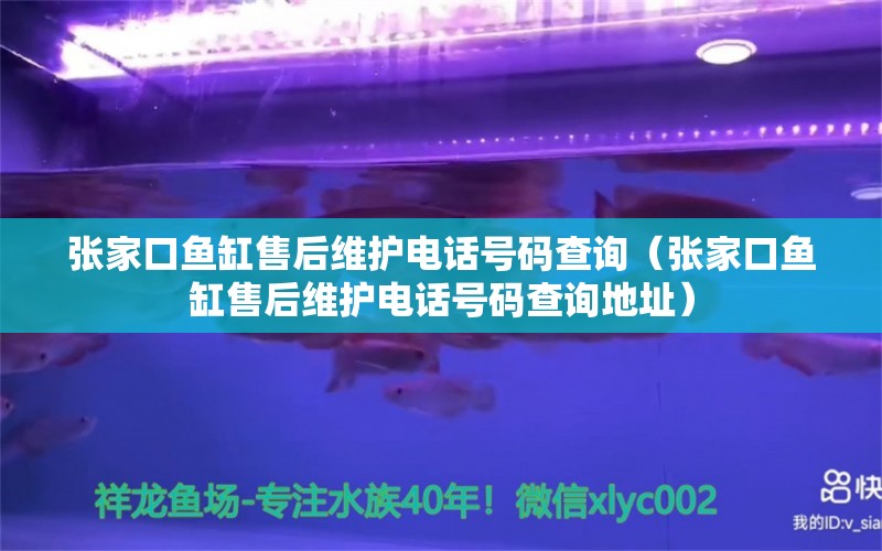 張家口魚缸售后維護電話號碼查詢（張家口魚缸售后維護電話號碼查詢地址）