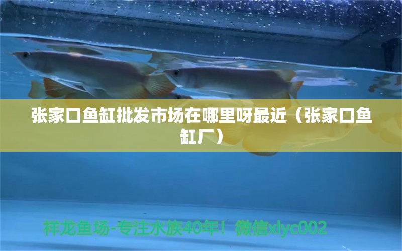 張家口魚缸批發(fā)市場在哪里呀最近（張家口魚缸廠） 養(yǎng)魚知識