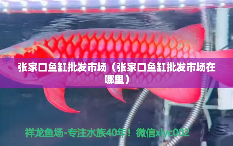 張家口魚缸批發(fā)市場（張家口魚缸批發(fā)市場在哪里） 觀賞魚水族批發(fā)市場