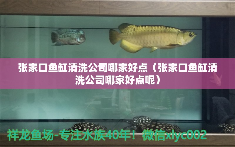 張家口魚(yú)缸清洗公司哪家好點(diǎn)（張家口魚(yú)缸清洗公司哪家好點(diǎn)呢）