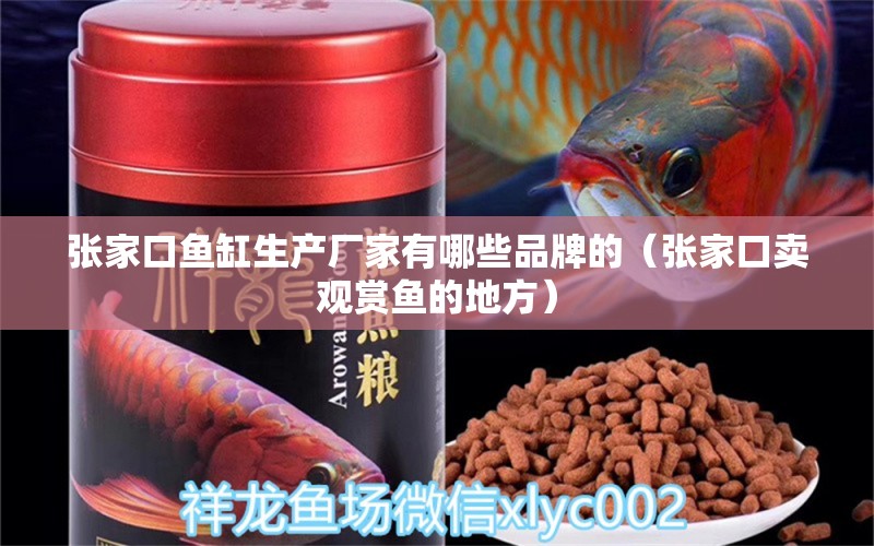 張家口魚缸生產廠家有哪些品牌的（張家口賣觀賞魚的地方）