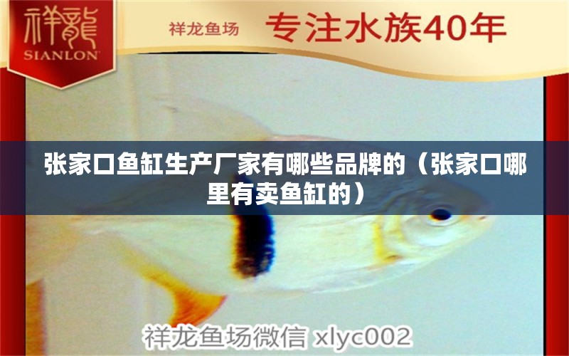 張家口魚缸生產(chǎn)廠家有哪些品牌的（張家口哪里有賣魚缸的） 馬來西亞咖啡