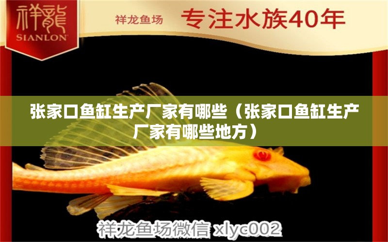 張家口魚缸生產(chǎn)廠家有哪些（張家口魚缸生產(chǎn)廠家有哪些地方） 祥龍水族醫(yī)院