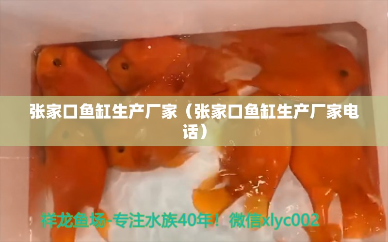 張家口魚缸生產(chǎn)廠家（張家口魚缸生產(chǎn)廠家電話）