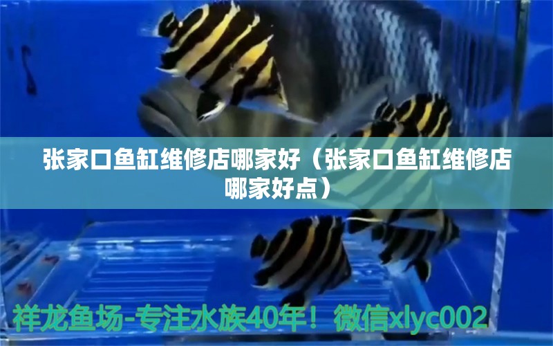 張家口魚(yú)缸維修店哪家好（張家口魚(yú)缸維修店哪家好點(diǎn)）