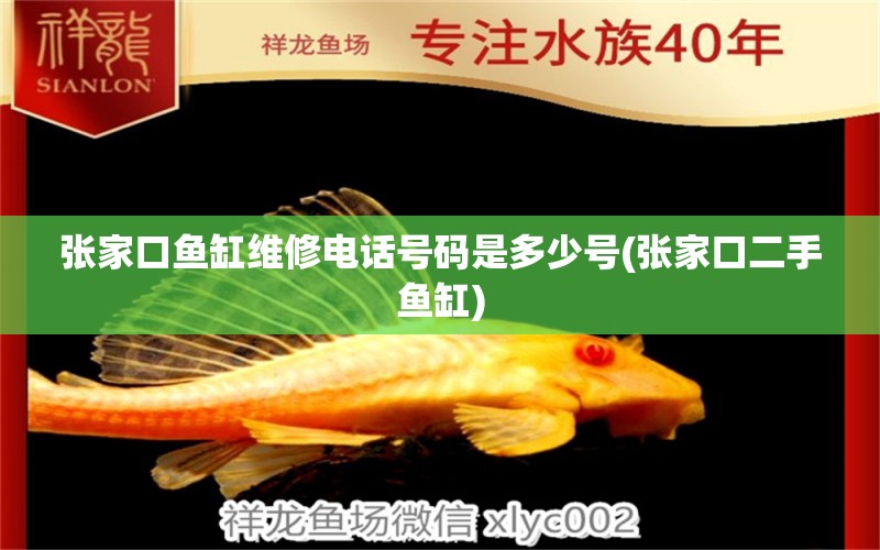 張家口魚缸維修電話號(hào)碼是多少號(hào)(張家口二手魚缸) 大白鯊魚苗