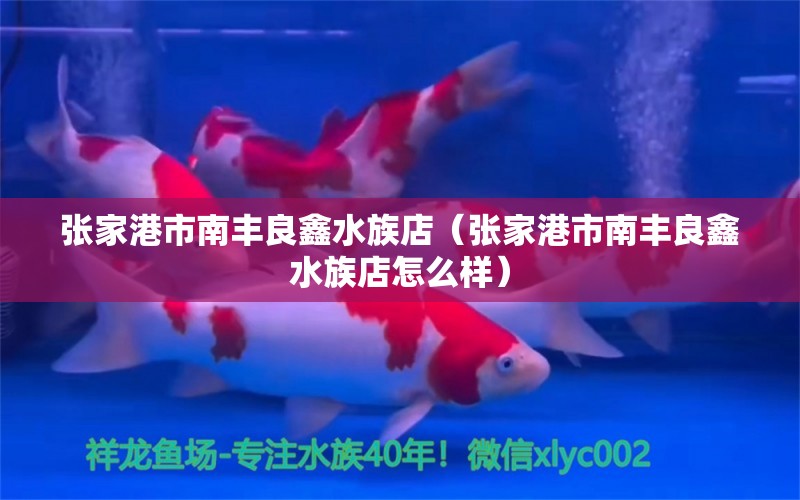 張家港市南豐良鑫水族店（張家港市南豐良鑫水族店怎么樣）