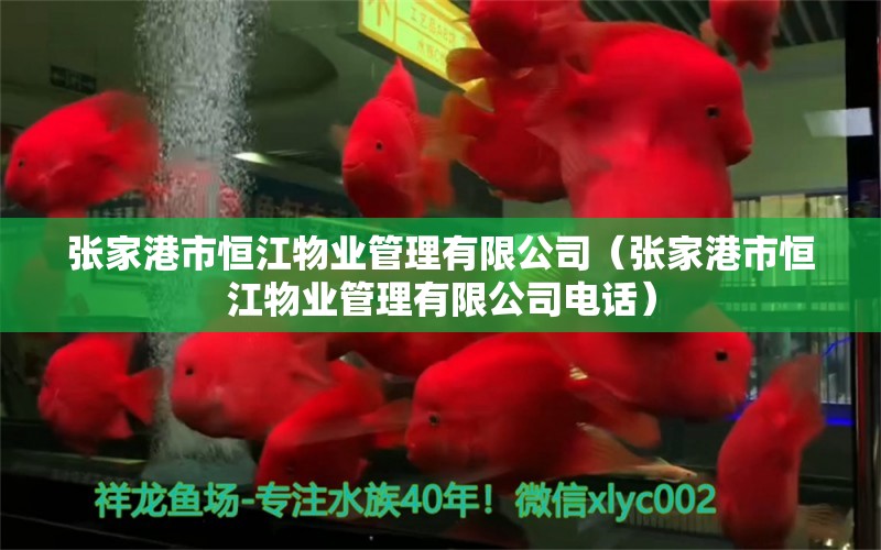 張家港市恒江物業(yè)管理有限公司（張家港市恒江物業(yè)管理有限公司電話）