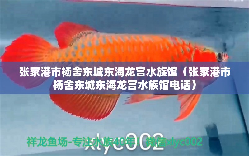 張家港市楊舍東城東海龍宮水族館（張家港市楊舍東城東海龍宮水族館電話）