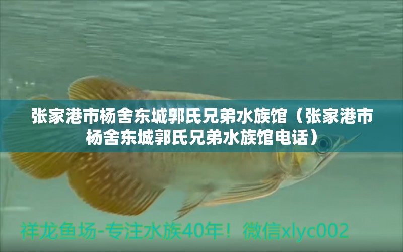 張家港市楊舍東城郭氏兄弟水族館（張家港市楊舍東城郭氏兄弟水族館電話）