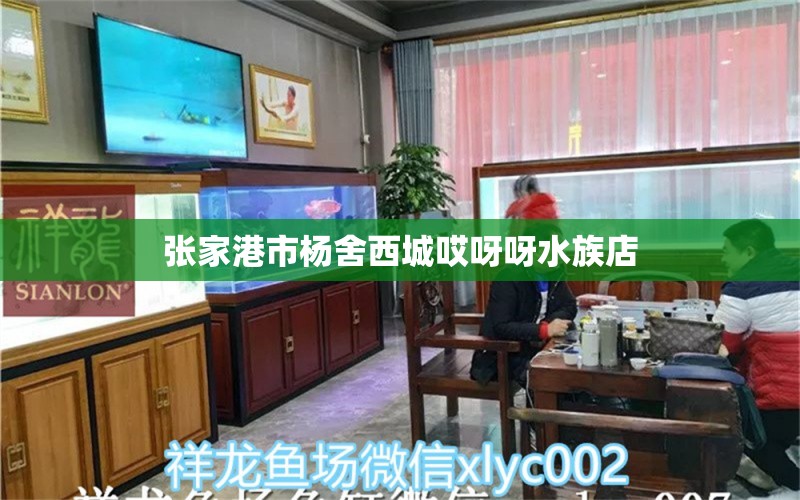 張家港市楊舍西城哎呀呀水族店 全國水族館企業(yè)名錄