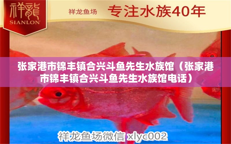 張家港市錦豐鎮(zhèn)合興斗魚先生水族館（張家港市錦豐鎮(zhèn)合興斗魚先生水族館電話） 全國水族館企業(yè)名錄