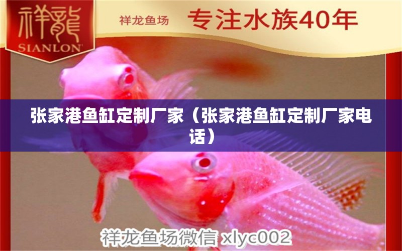 張家港魚(yú)缸定制廠家（張家港魚(yú)缸定制廠家電話） 量子養(yǎng)魚(yú)技術(shù)