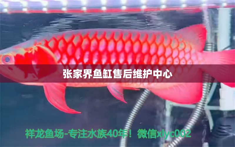 張家界魚缸售后維護中心