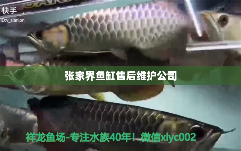 張家界魚缸售后維護(hù)公司 其他品牌魚缸