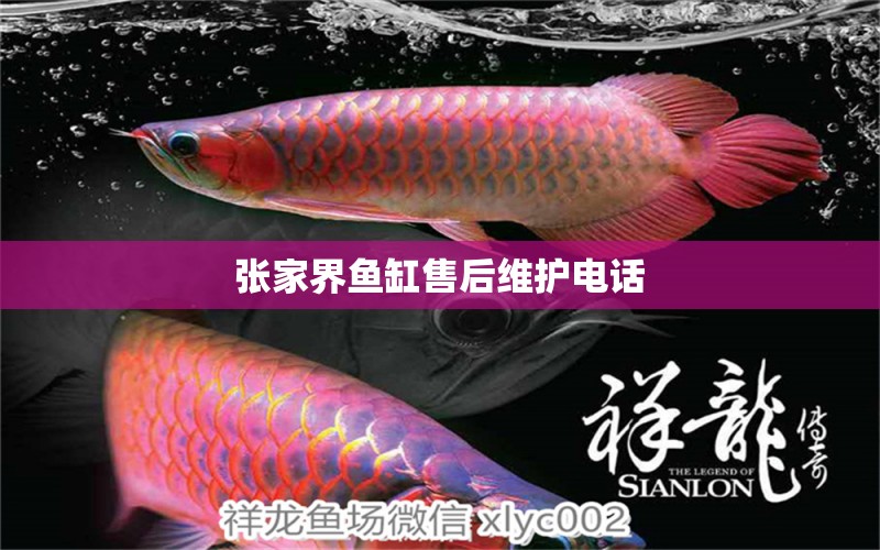 張家界魚(yú)缸售后維護(hù)電話(huà) 其他品牌魚(yú)缸