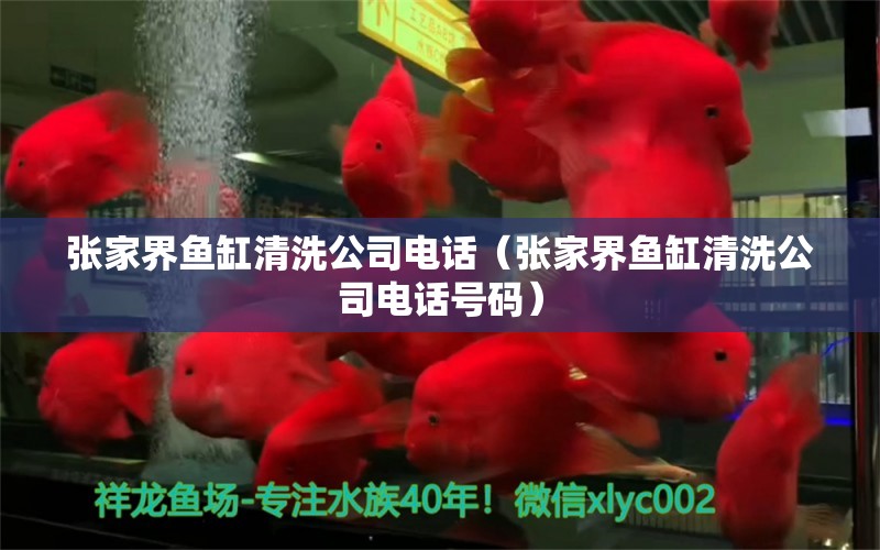 張家界魚缸清洗公司電話（張家界魚缸清洗公司電話號碼）