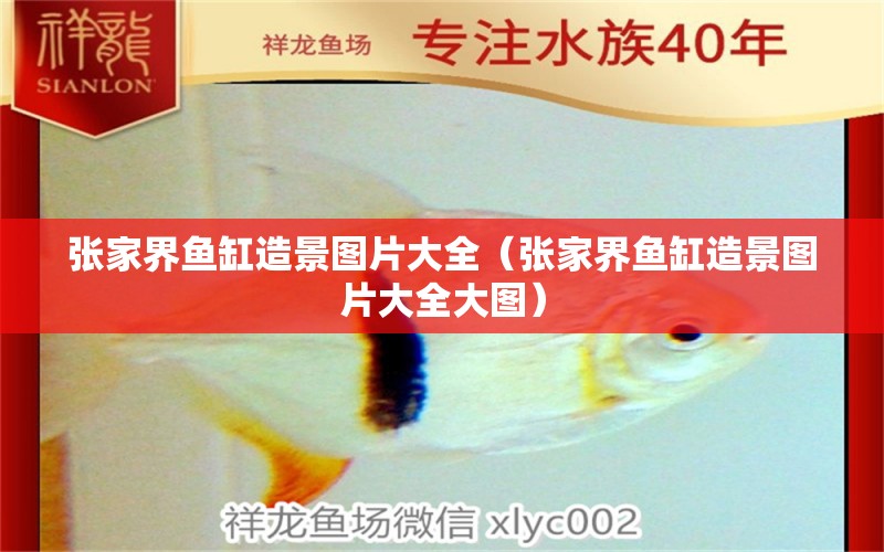 張家界魚缸造景圖片大全（張家界魚缸造景圖片大全大圖） 其他品牌魚缸