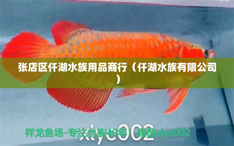 張店區(qū)仟湖水族用品商行（仟湖水族有限公司）