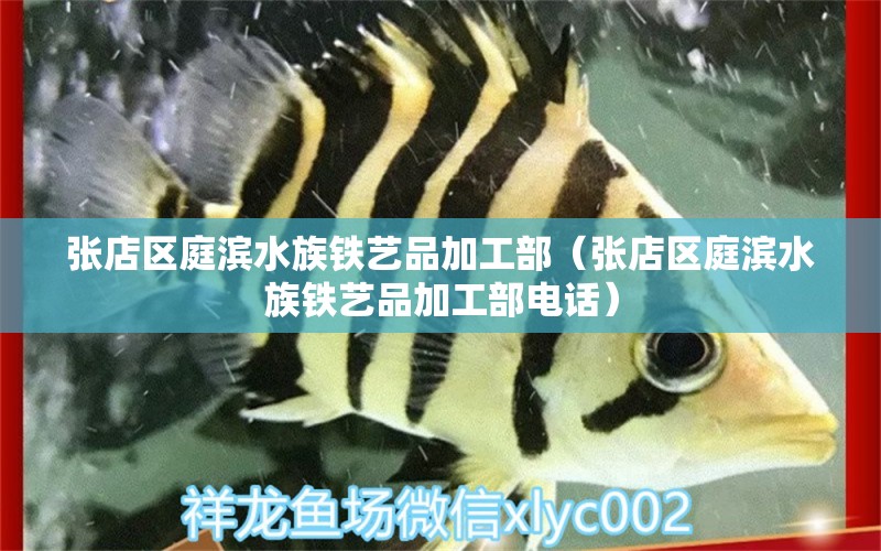 張店區(qū)庭濱水族鐵藝品加工部（張店區(qū)庭濱水族鐵藝品加工部電話） 全國(guó)水族館企業(yè)名錄